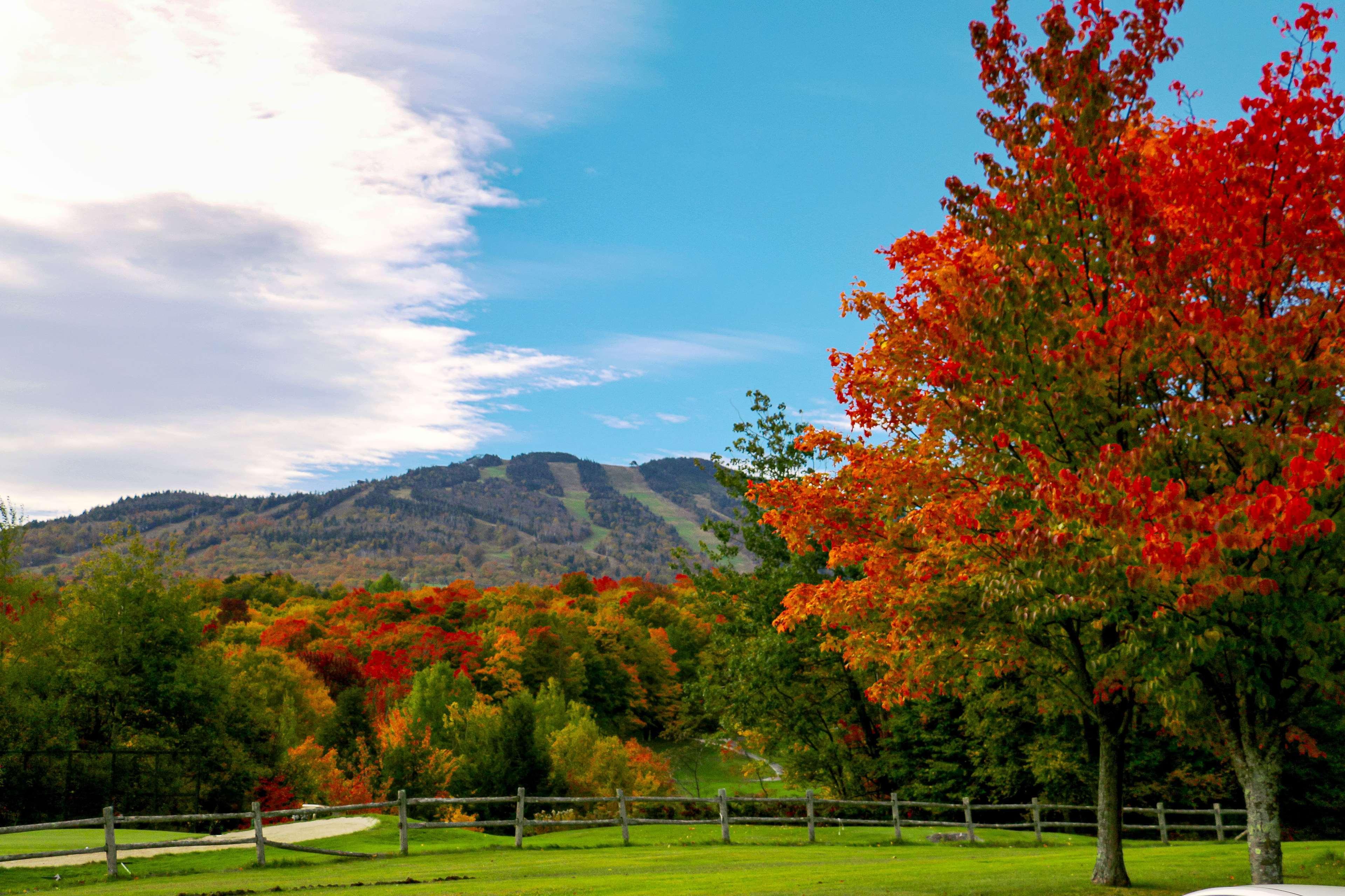 Killington Mountain Lodge, Tapestry Collection By Hilton Bagian luar foto